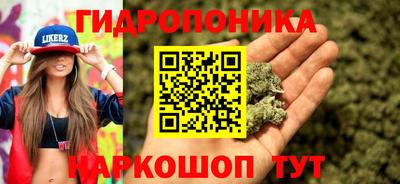 крисы Усть-Джегута