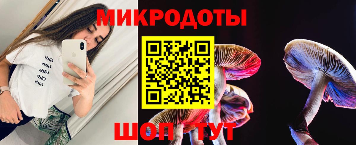 Кингисепп  Псилоцибиновые грибы Magic Shrooms  Вход с VPN  Галлюциногенные грибы ЛСД 