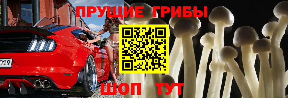 Галлюциногенные грибы прущие грибы Кингисепп