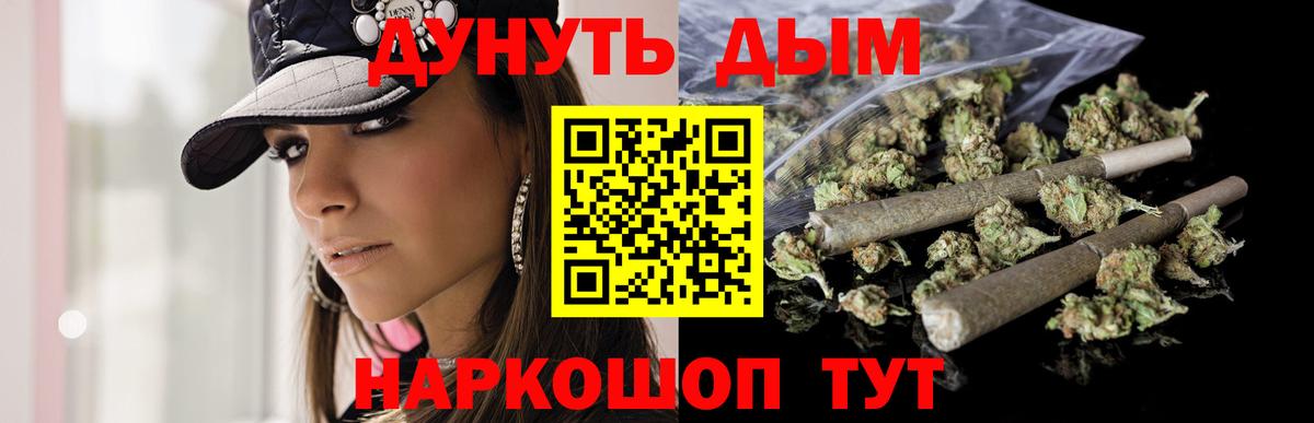 Бошки Шишки планчик Кингисепп
